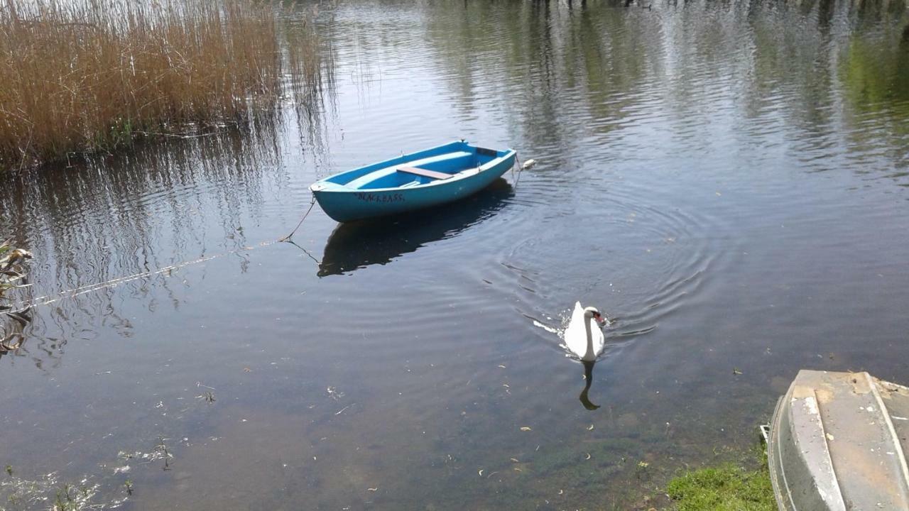 Una Finestra Sul Lago..Appartamento Verbania Dış mekan fotoğraf